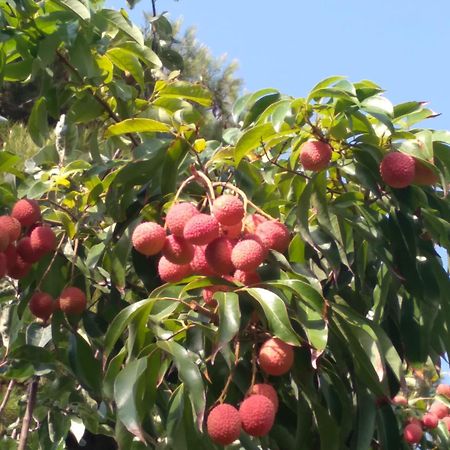 Cortijo Del Sidi Villa Motril Kültér fotó