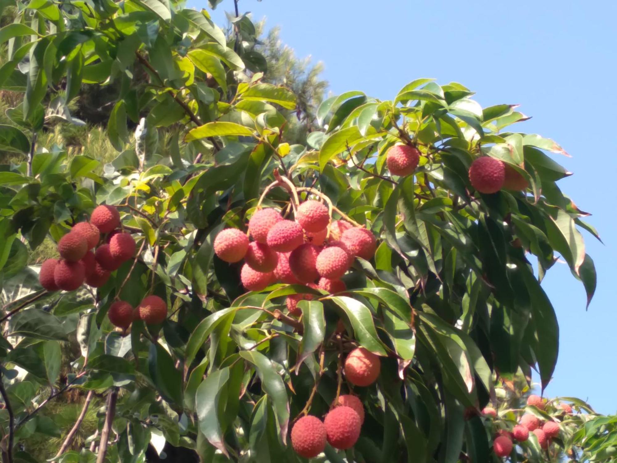 Cortijo Del Sidi Villa Motril Kültér fotó