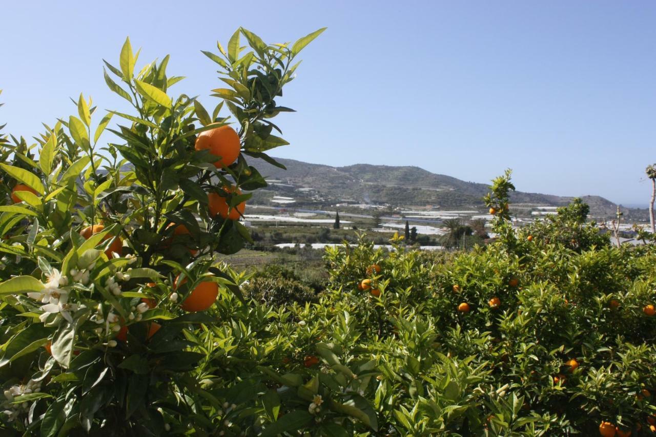 Cortijo Del Sidi Villa Motril Kültér fotó